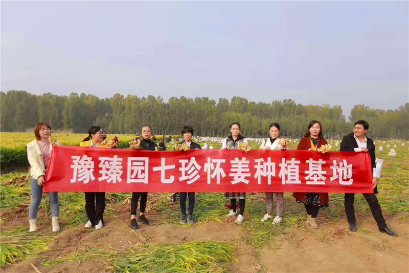 河南豫臻園健康食品開發有限公司